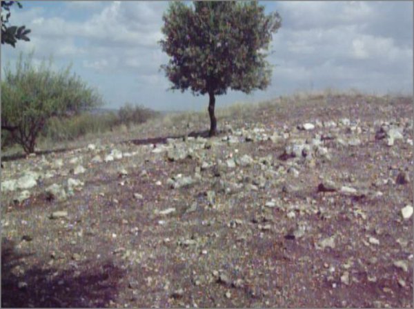  | موسوعة القرى الفلسطينية