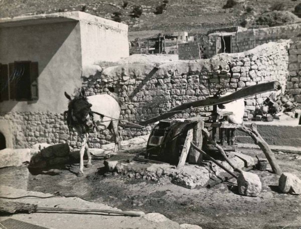 | موسوعة القرى الفلسطينية  | موسوعة القرى الفلسطينية