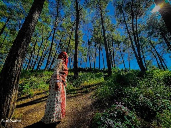  | موسوعة القرى الفلسطينية