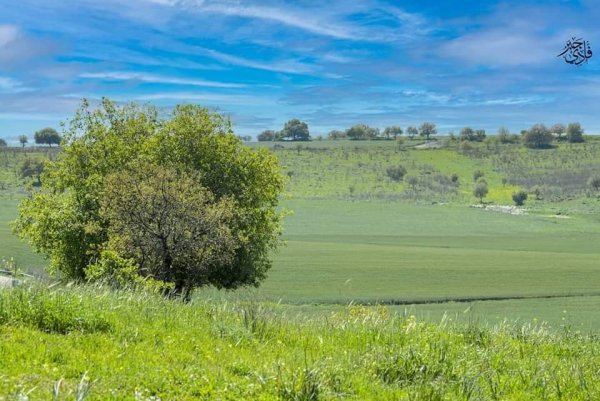  | موسوعة القرى الفلسطينية