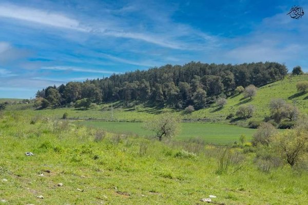  | موسوعة القرى الفلسطينية