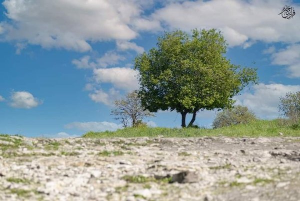  | موسوعة القرى الفلسطينية