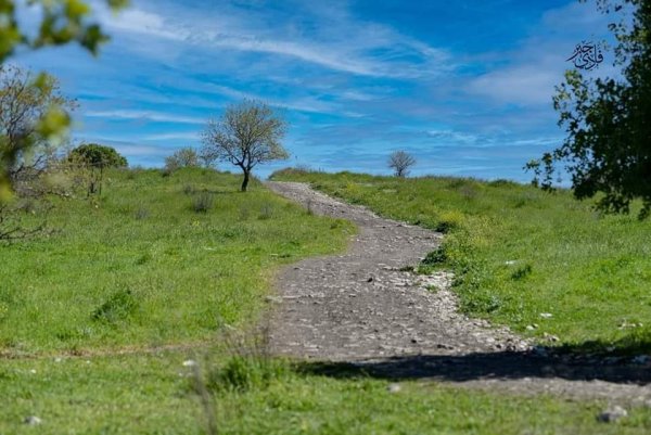  | موسوعة القرى الفلسطينية