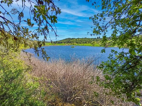  | موسوعة القرى الفلسطينية