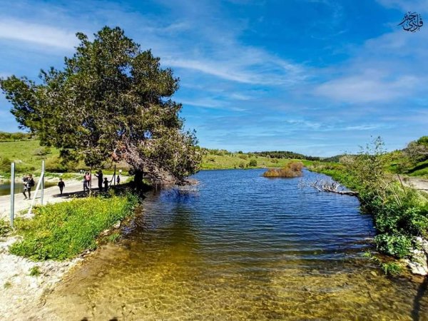  | موسوعة القرى الفلسطينية
