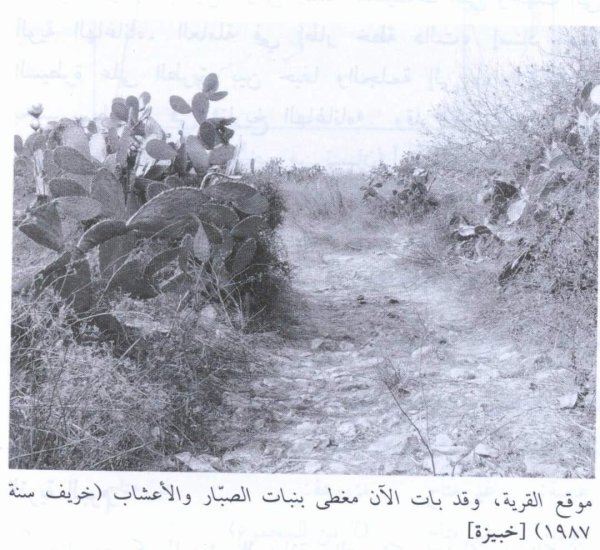 قرية خبيزة قرية خبيزة