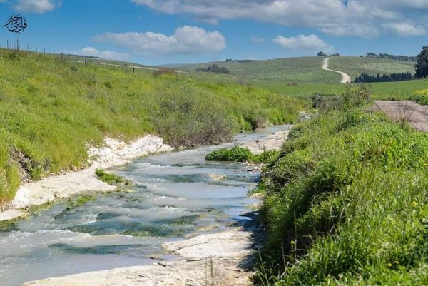  | موسوعة القرى الفلسطينية