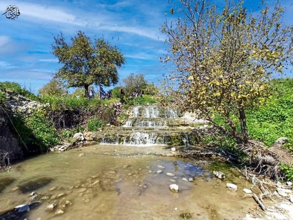  | موسوعة القرى الفلسطينية