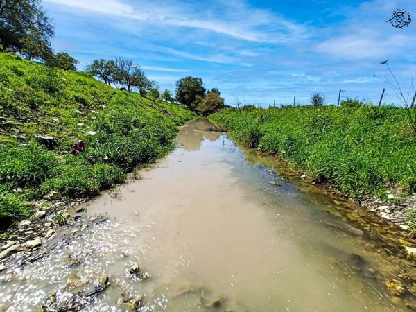  | موسوعة القرى الفلسطينية
