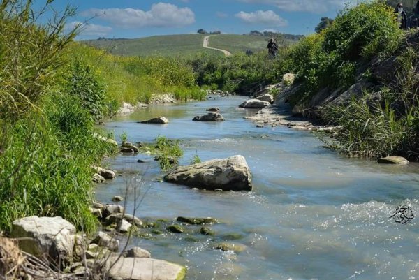  | موسوعة القرى الفلسطينية
