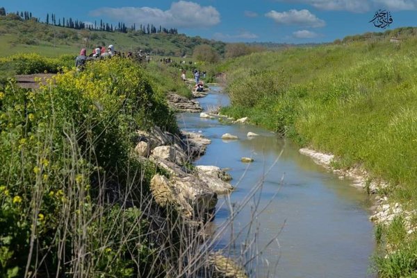  | موسوعة القرى الفلسطينية