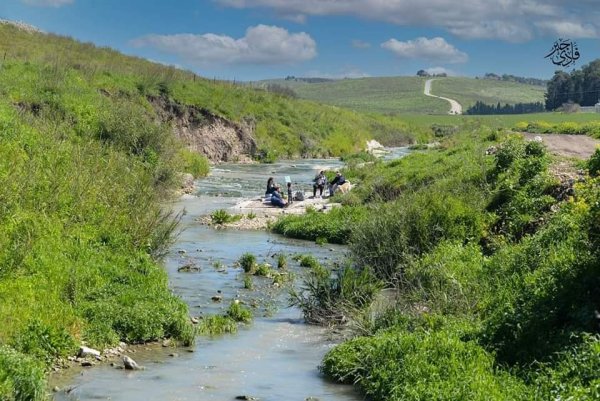  | موسوعة القرى الفلسطينية