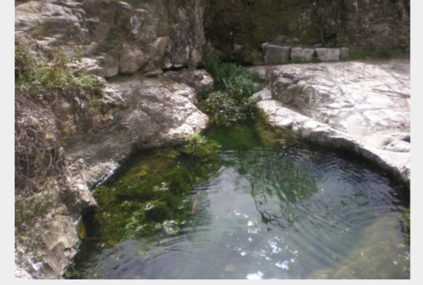  | موسوعة القرى الفلسطينية