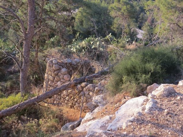  | موسوعة القرى الفلسطينية