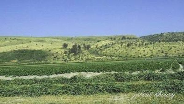  | موسوعة القرى الفلسطينية