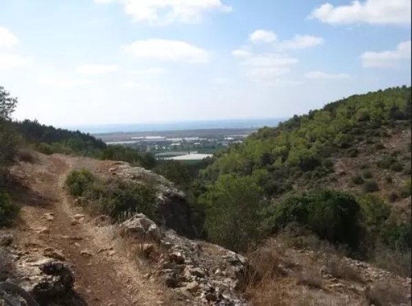  | موسوعة القرى الفلسطينية