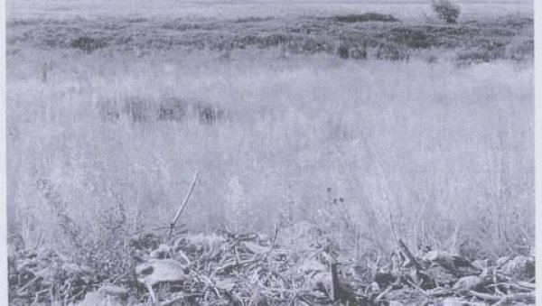 صورة في أراضي جبع المهجرة قضاء حيفا من كتاب كي لا ننسى للمؤرخ وليد الخالدي