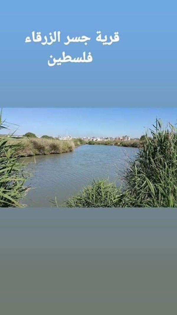 | موسوعة القرى الفلسطينية  | موسوعة القرى الفلسطينية