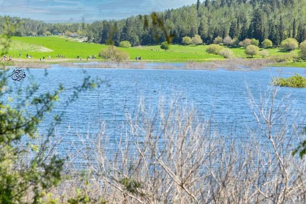  | موسوعة القرى الفلسطينية