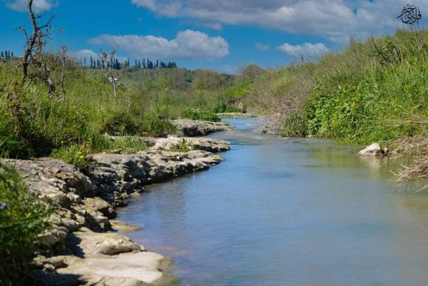  | موسوعة القرى الفلسطينية