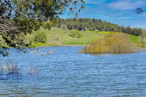  | موسوعة القرى الفلسطينية