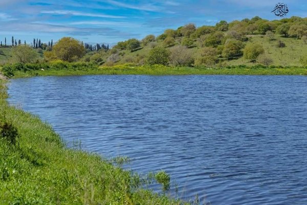  | موسوعة القرى الفلسطينية