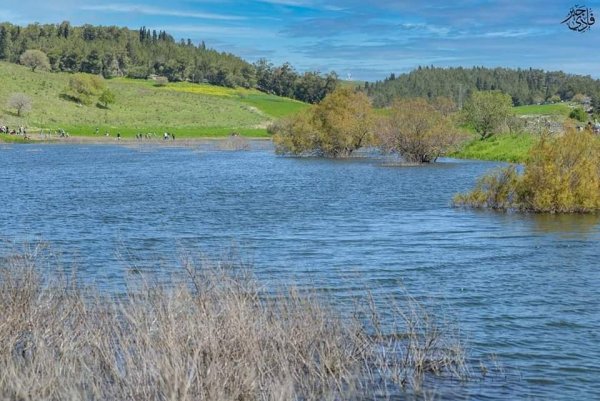  | موسوعة القرى الفلسطينية
