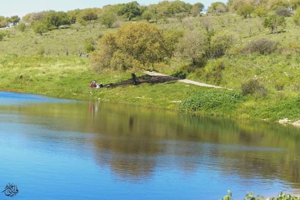  | موسوعة القرى الفلسطينية