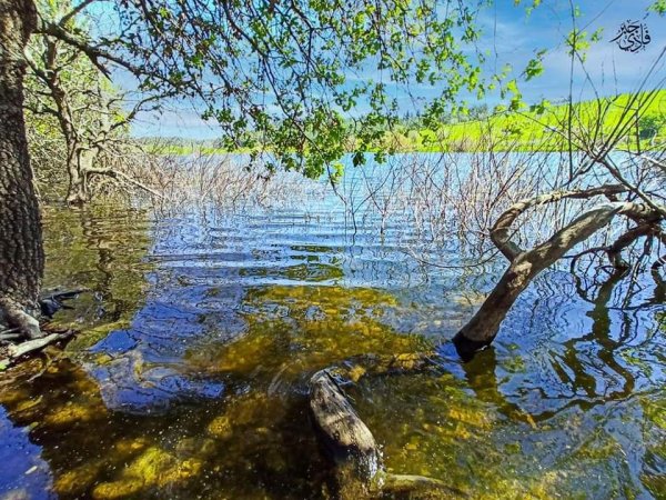  | موسوعة القرى الفلسطينية