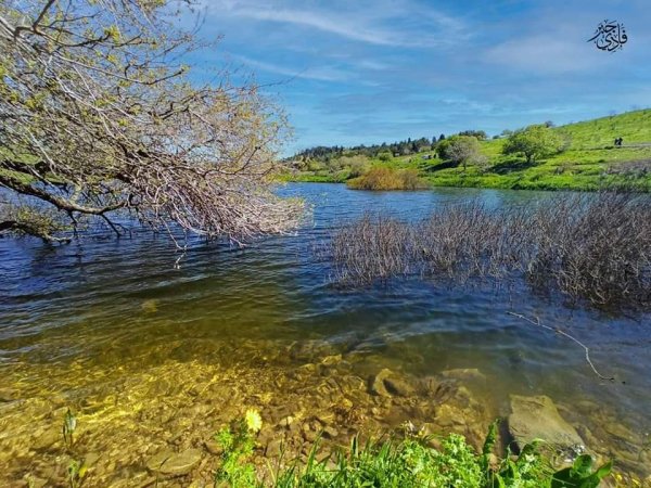  | موسوعة القرى الفلسطينية