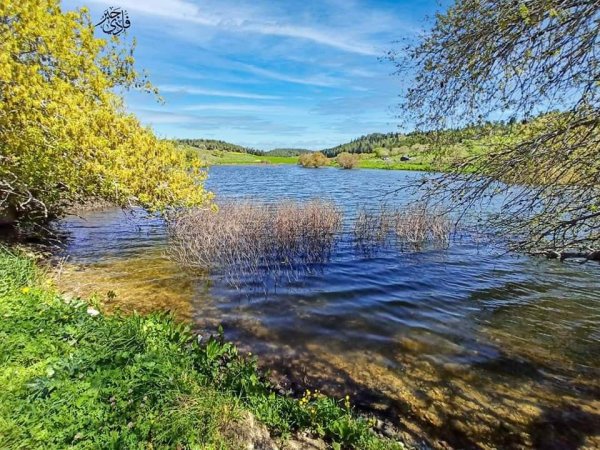  | موسوعة القرى الفلسطينية