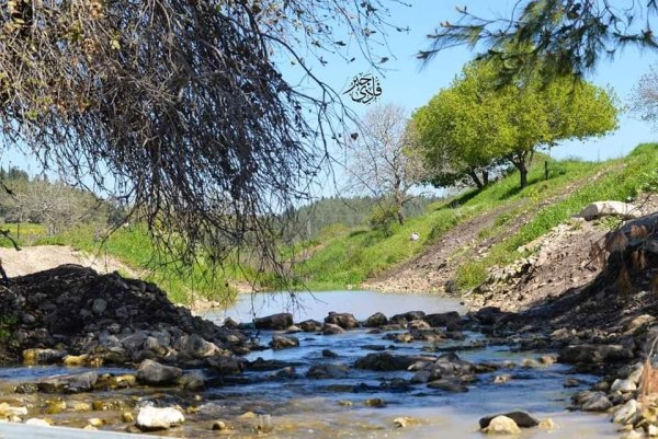  | موسوعة القرى الفلسطينية