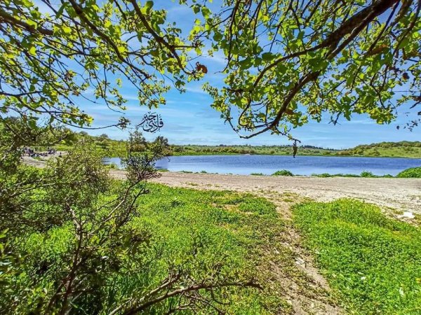  | موسوعة القرى الفلسطينية