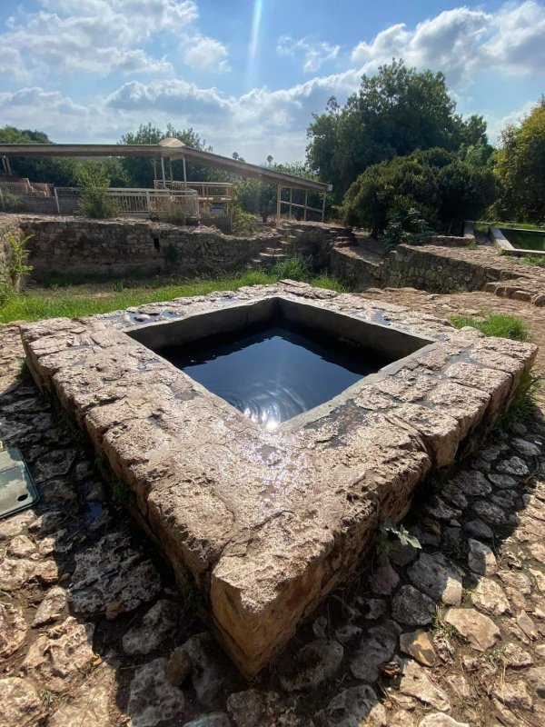  | موسوعة القرى الفلسطينية