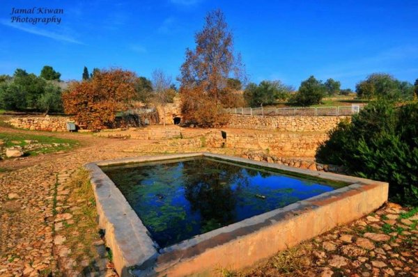  | موسوعة القرى الفلسطينية