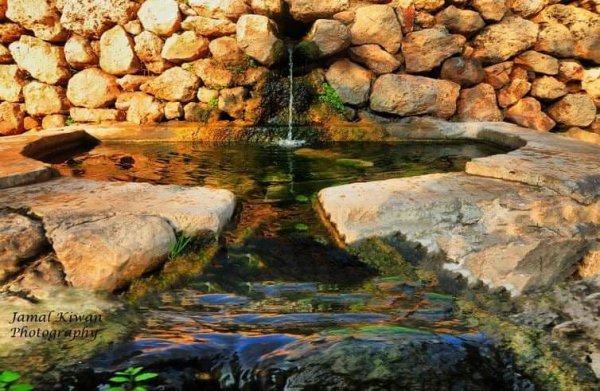  | موسوعة القرى الفلسطينية