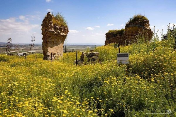  | موسوعة القرى الفلسطينية