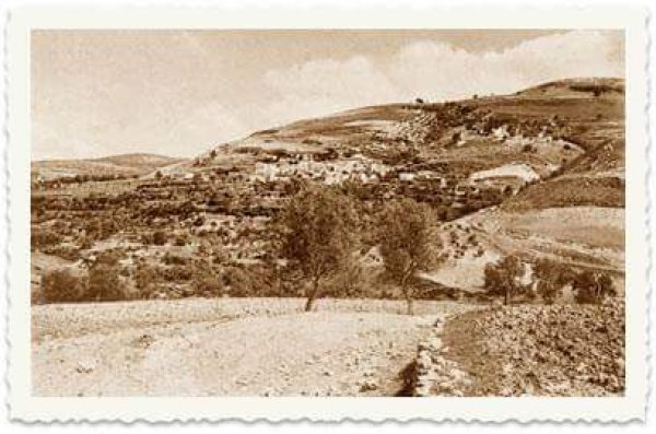 صورة نادرة لقرية عين الزيتون ربما تعود لعام 1912 صورة نادرة لقرية عين الزيتون ربما تعود لعام 1912