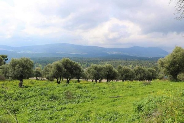  | موسوعة القرى الفلسطينية