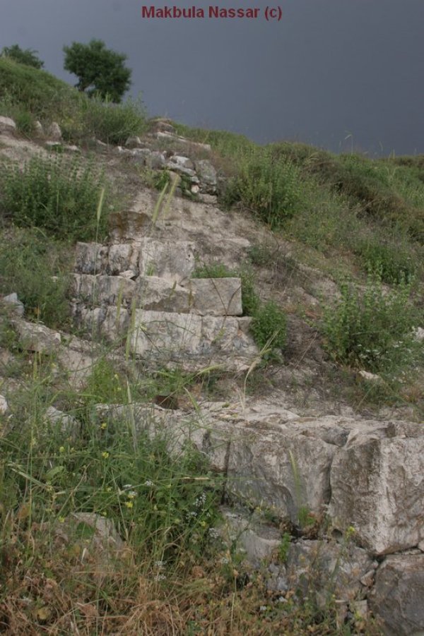  | موسوعة القرى الفلسطينية