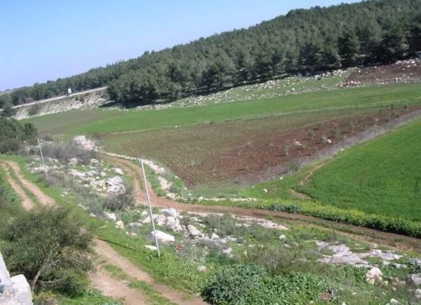 | موسوعة القرى الفلسطينية  | موسوعة القرى الفلسطينية