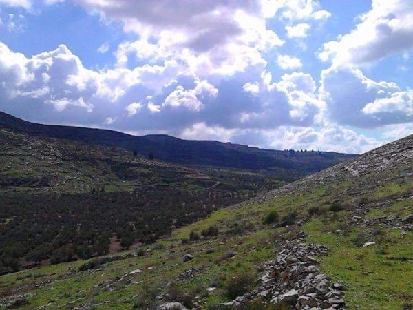 | موسوعة القرى الفلسطينية  | موسوعة القرى الفلسطينية