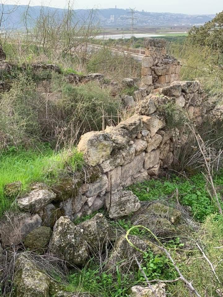 خربة سعسع/ من أرشيف الأستاذ: ابراهيم أبو عمّار.