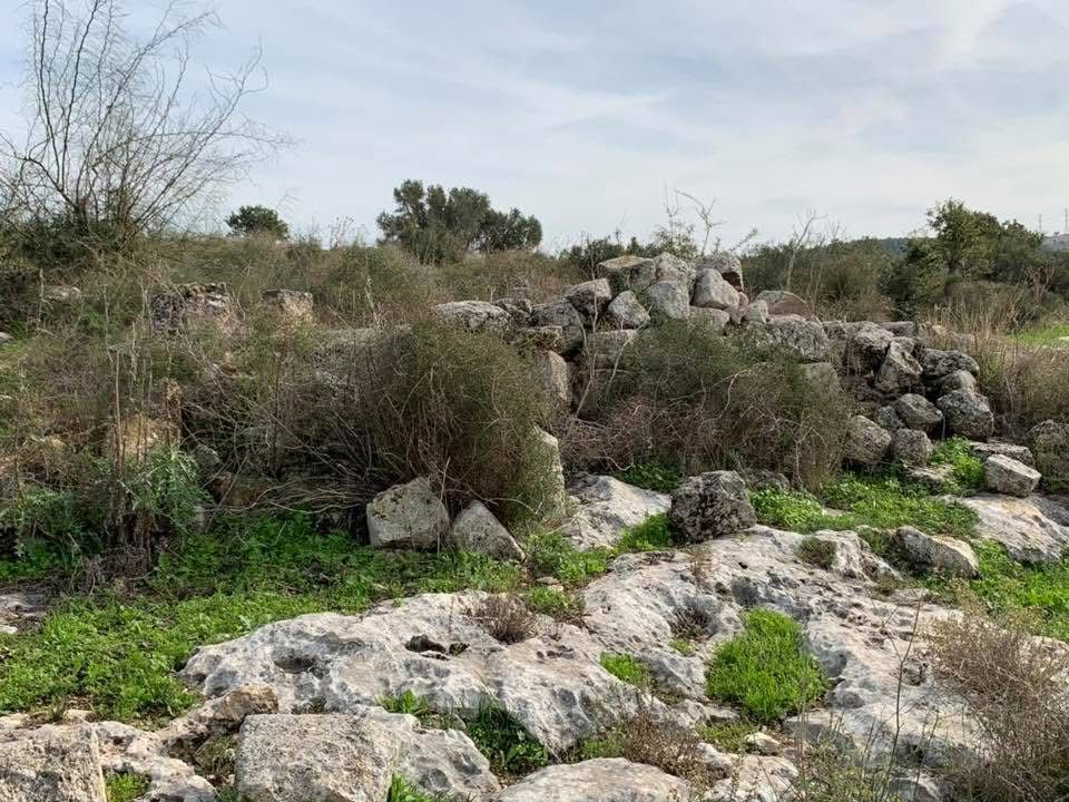 خربة سعسع/ من أرشيف الأستاذ: ابراهيم أبو عمّار.