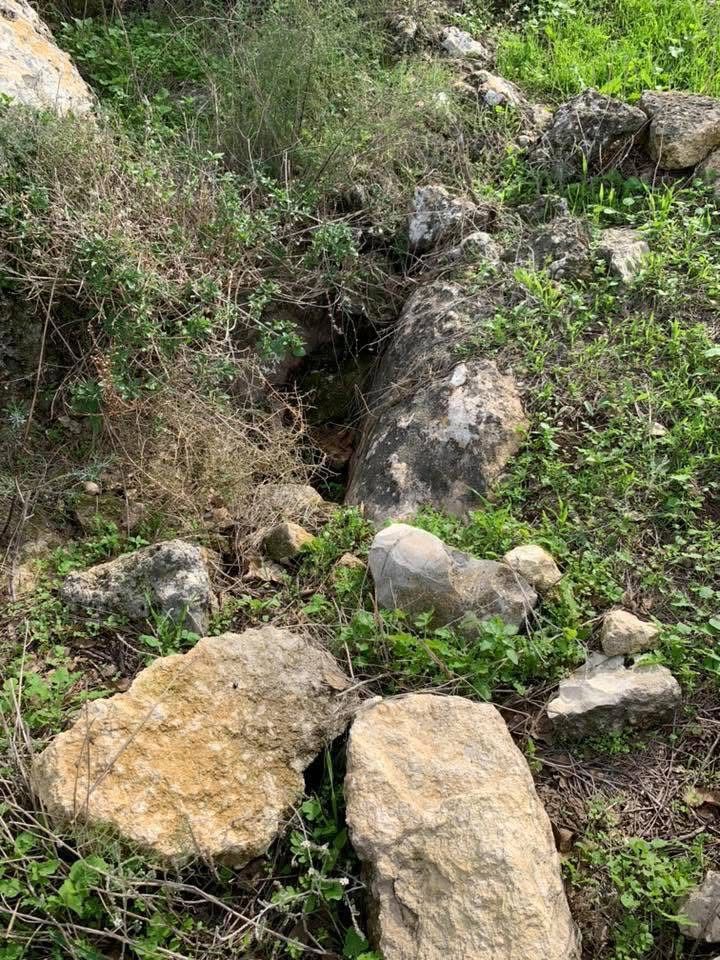 خربة سعسع/ من أرشيف الأستاذ: ابراهيم أبو عمّار.