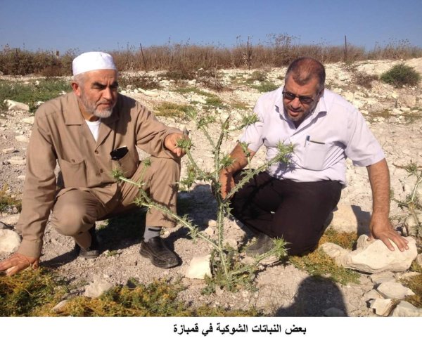 | موسوعة القرى الفلسطينية  | موسوعة القرى الفلسطينية