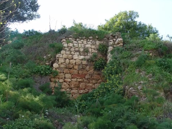  | موسوعة القرى الفلسطينية