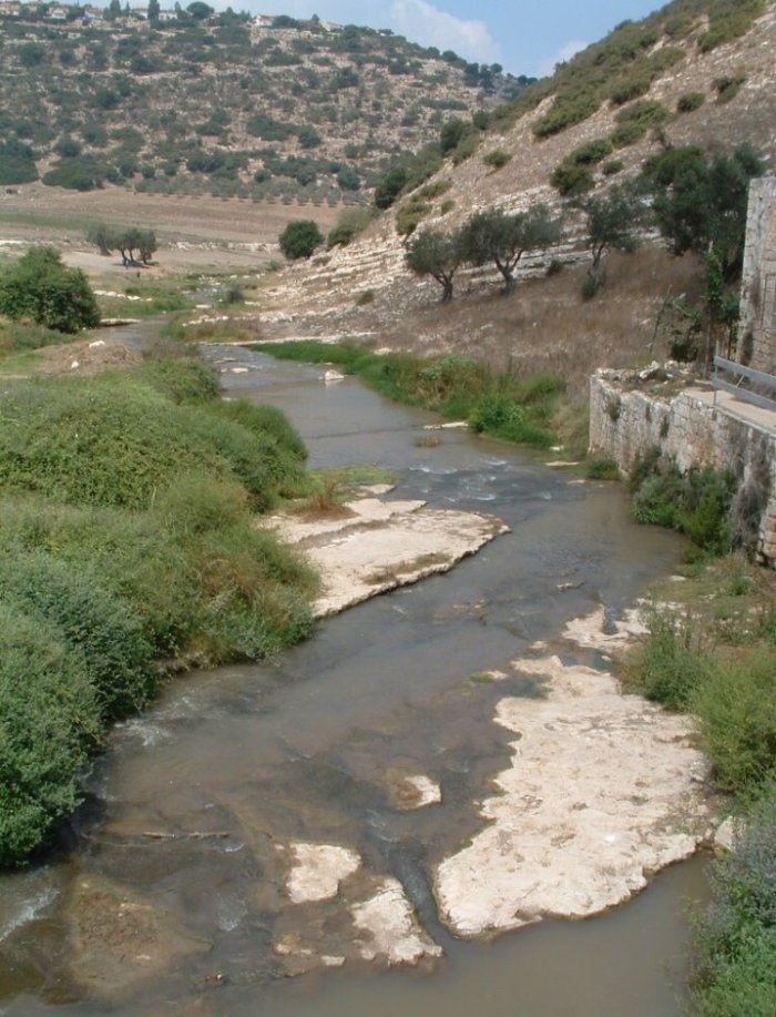 خوالد  | موسوعة القرى الفلسطينية