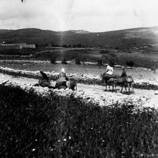 رجال يركبون الحميرعند مدخل القرية عام 1939