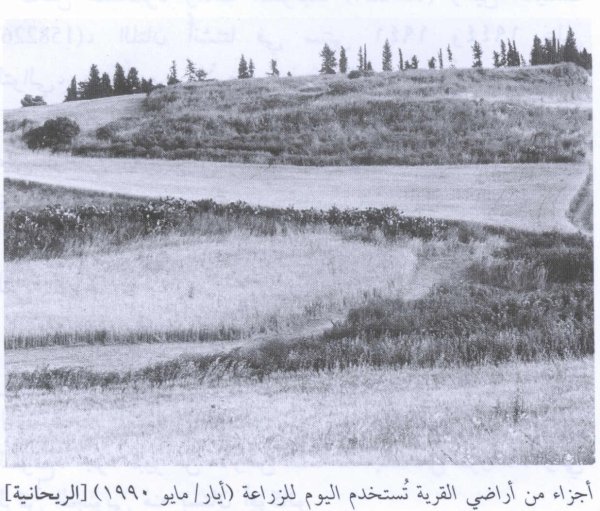 أراضي الريحانية عام 1990 صورة من كتاب كي لاننسى